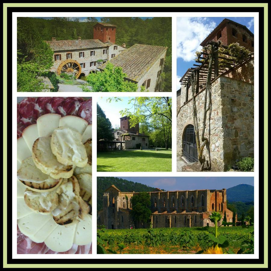 Agriturismo Il Mulino Delle Pile Киусдино Екстериор снимка
