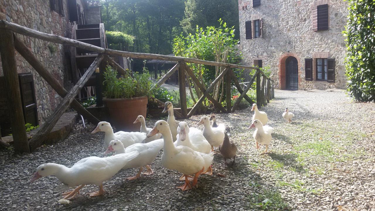 Agriturismo Il Mulino Delle Pile Киусдино Екстериор снимка