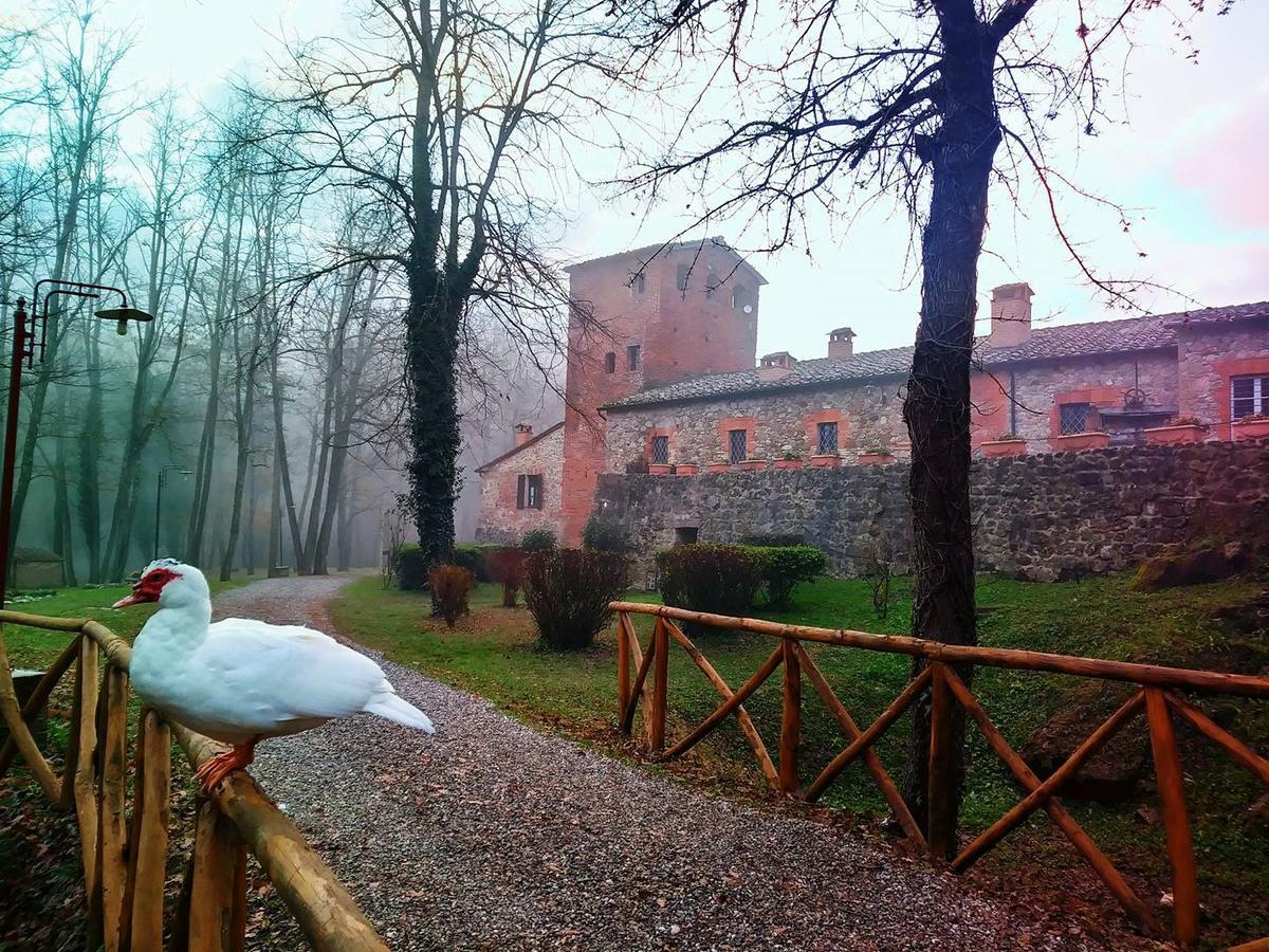 Agriturismo Il Mulino Delle Pile Киусдино Екстериор снимка