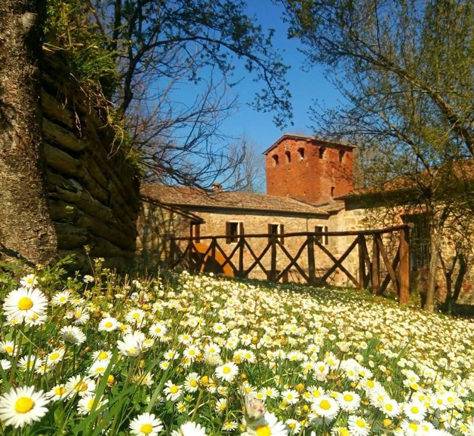 Agriturismo Il Mulino Delle Pile Киусдино Екстериор снимка