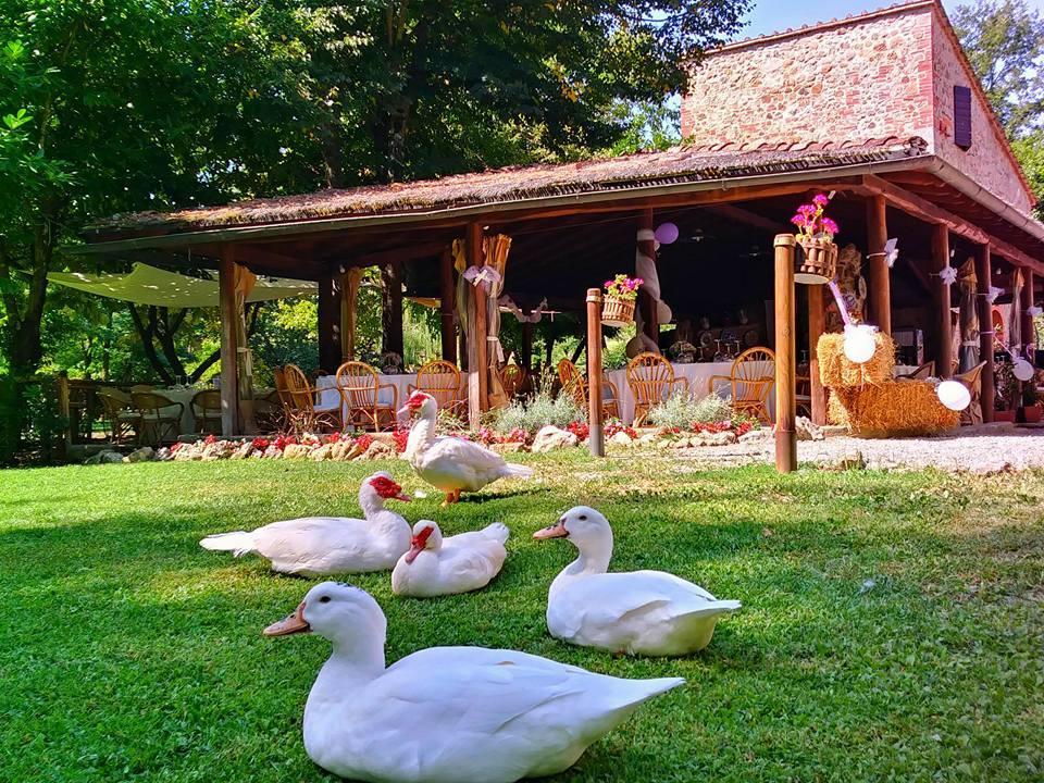 Agriturismo Il Mulino Delle Pile Киусдино Екстериор снимка