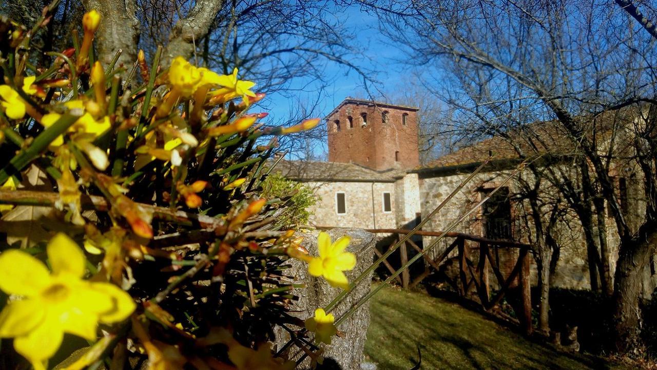 Agriturismo Il Mulino Delle Pile Киусдино Екстериор снимка