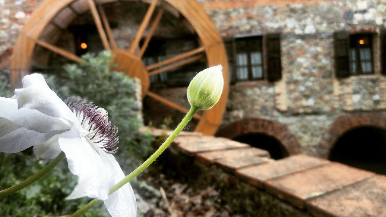 Agriturismo Il Mulino Delle Pile Киусдино Екстериор снимка